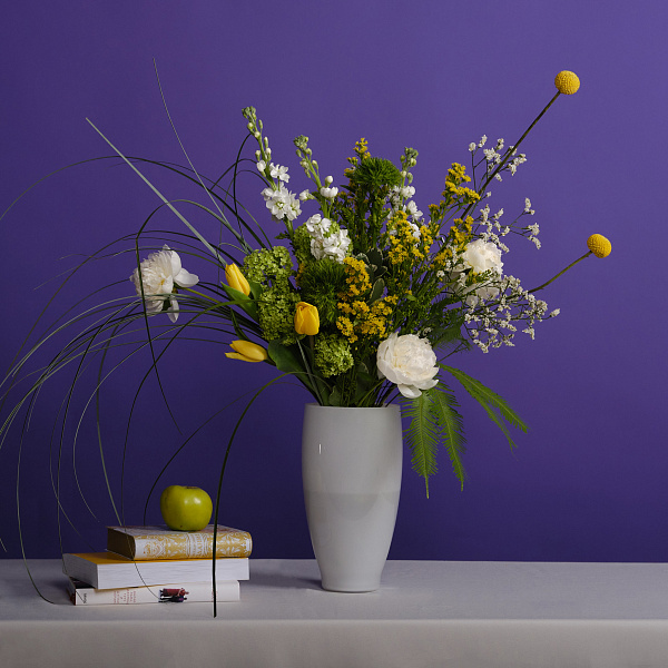 Купить Цветомания подписка S в  с бесплатной доставкой: цена, фото, описание